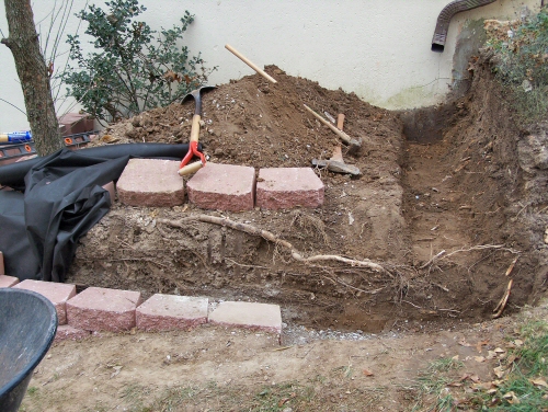 During the project...